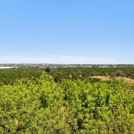 Quinta Alegre Tavira T2 Dom wakacyjny Luz de Tavira