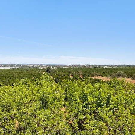 Дом отдыха Quinta Alegre Tavira T2